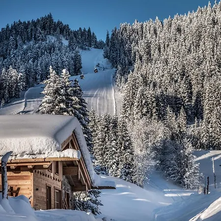 Benglerwald Berg Chaletdorf * Bach (Tyrol)