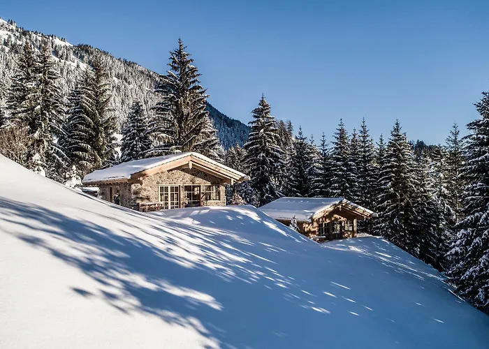 Benglerwald Berg Chaletdorf