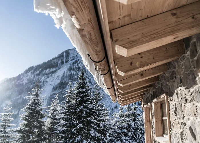 Benglerwald Berg Chaletdorf Bach
