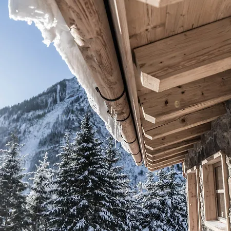 Benglerwald Berg Chaletdorf Bach (Tyrol)