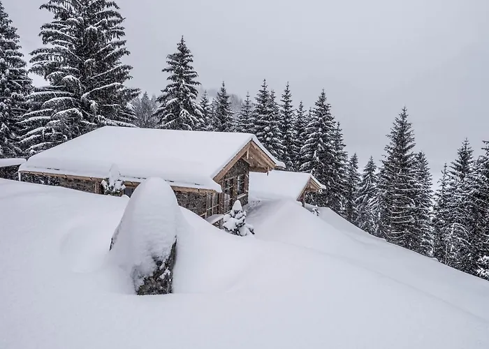 Benglerwald Berg Chaletdorf Bach (Tyrol)