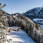 公寓 Benglerwald Berg Chaletdorf