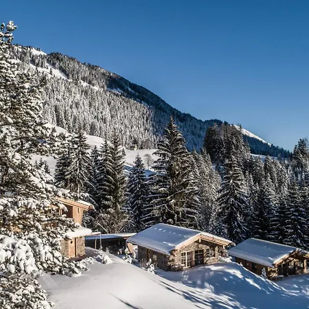 Benglerwald Berg Chaletdorf *